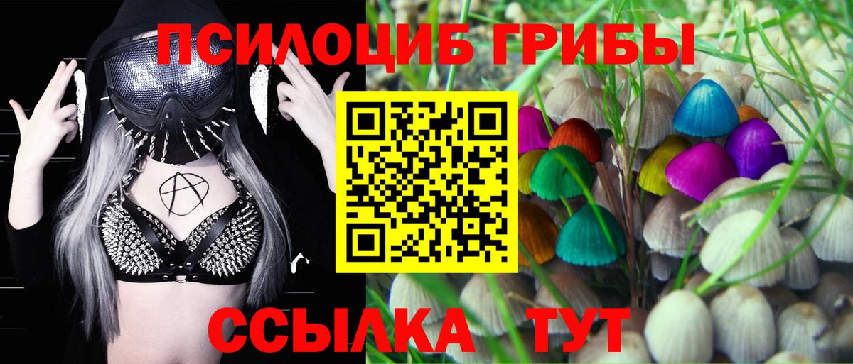 Галлюциногенные грибы Cubensis Корсаков