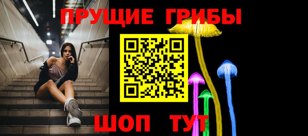 Галлюциногенные грибы MAGIC MUSHROOMS  Псилоцибиновые грибы Psilocybine cubensis  Вход с VPN  Корсаков 